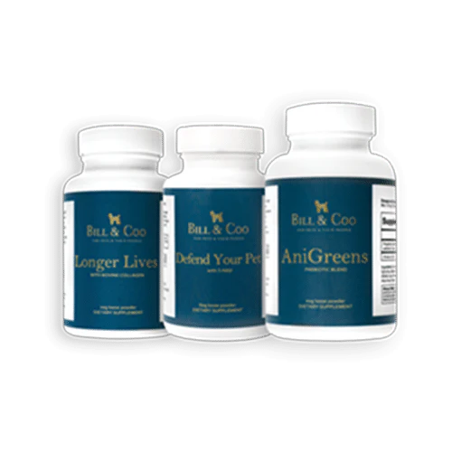 BC Powder Pk Root BC Powder Pk – Bild 1